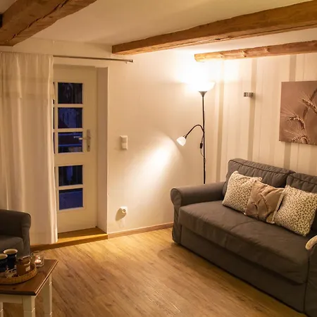 Hof Timmermann - Kornkammer Apartment Ottenstein